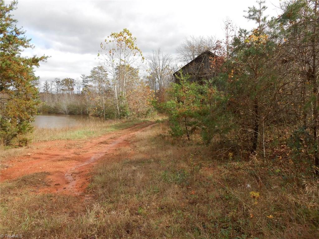 Lot A Perkinson Road Ruffin, NC 27326 - Photo 14 of 23
