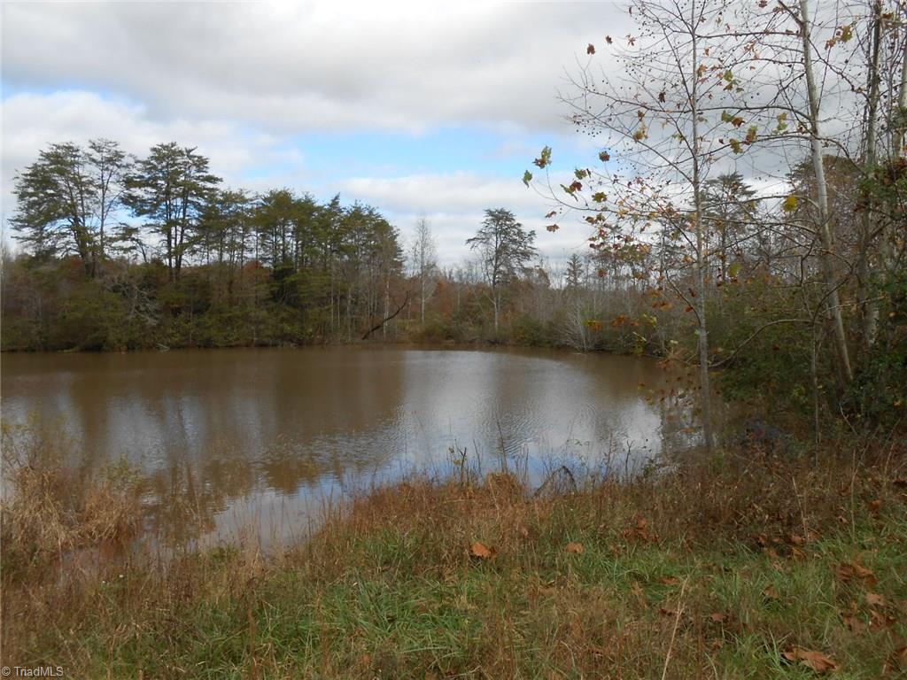 Lot A Perkinson Road Ruffin, NC 27326 - Photo 16 of 23