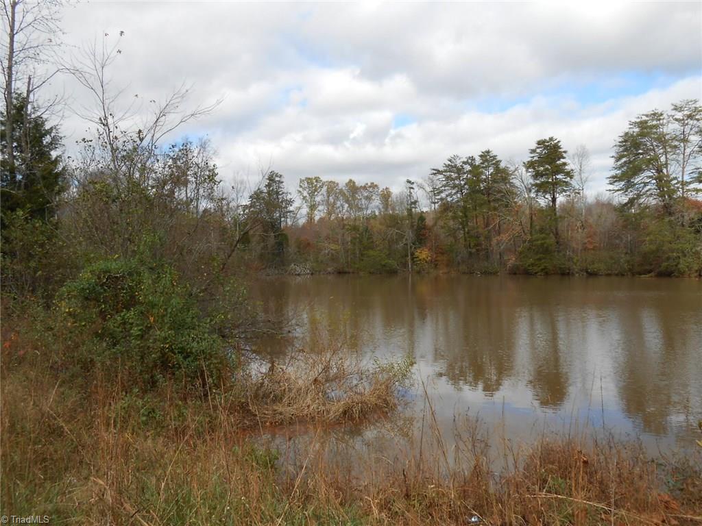 Lot A Perkinson Road Ruffin, NC 27326 - Photo 17 of 23