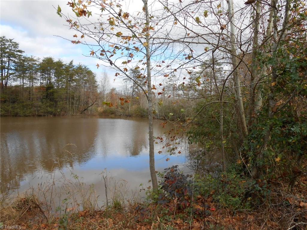 Lot A Perkinson Road Ruffin, NC 27326 - Photo 18 of 23