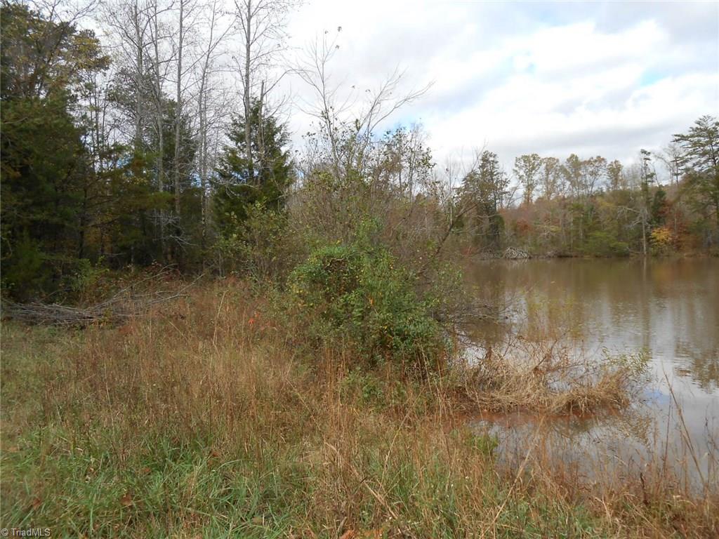 Lot A Perkinson Road Ruffin, NC 27326 - Photo 19 of 23