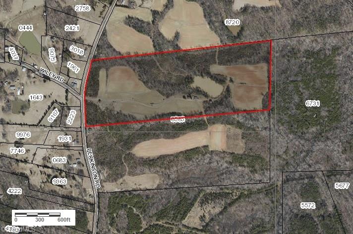 Lot A Perkinson Road Ruffin, NC 27326 - Photo 3 of 23