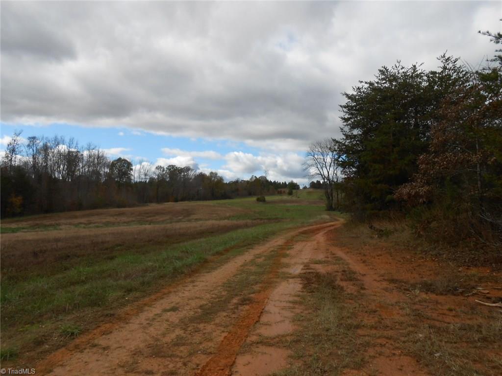 Lot A Perkinson Road Ruffin, NC 27326 - Photo 22 of 23
