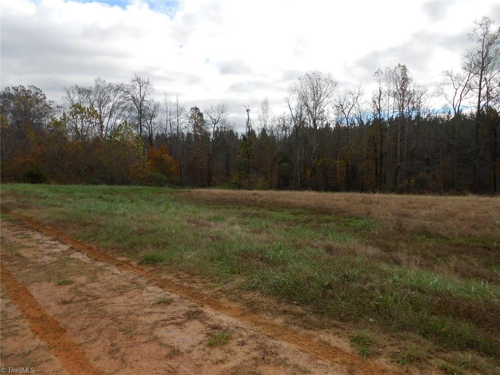 Lot A Perkinson Road Ruffin, NC 27326 - Photo 23 of 23