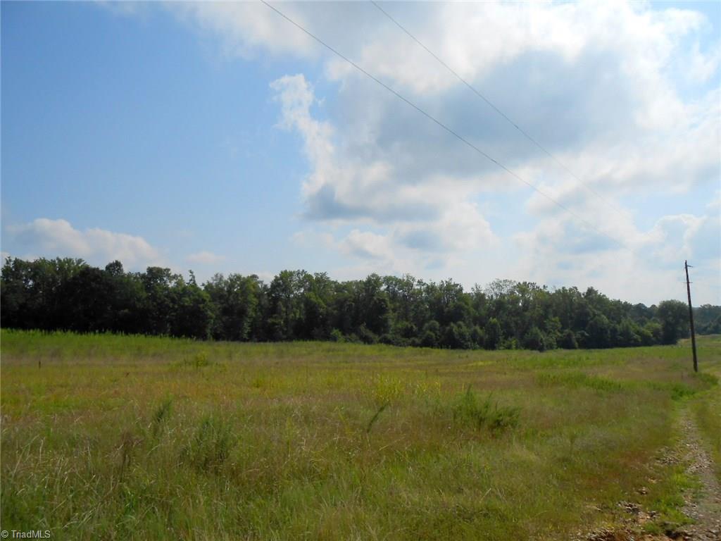 Lot A Perkinson Road Ruffin, NC 27326 - Photo 4 of 23