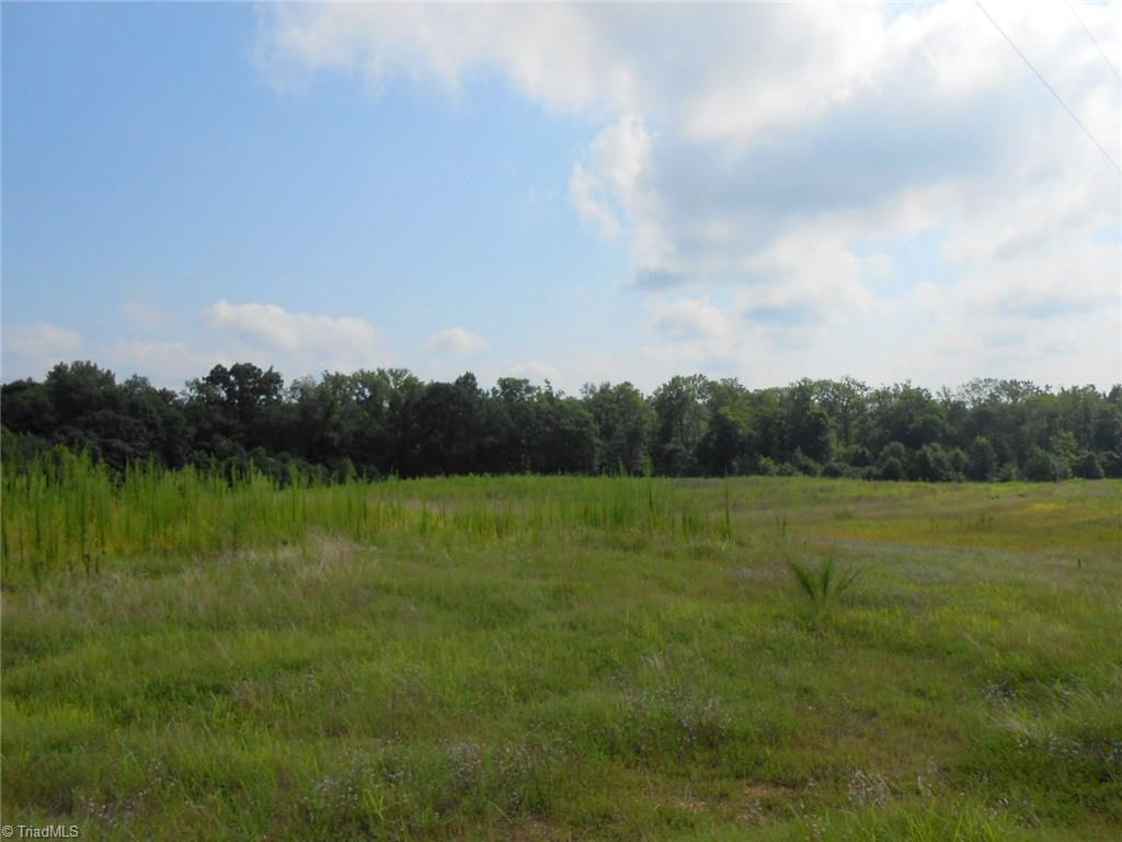 Lot A Perkinson Road Ruffin, NC 27326 - Photo 6 of 23