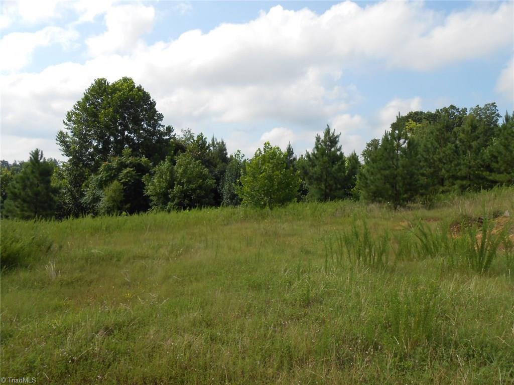 Lot A Perkinson Road Ruffin, NC 27326 - Photo 7 of 23
