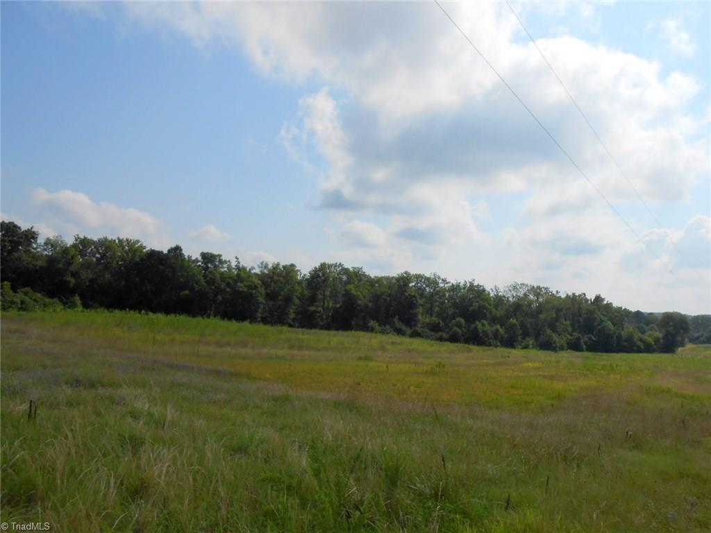 Lot A Perkinson Road Ruffin, NC 27326 - Photo 8 of 23