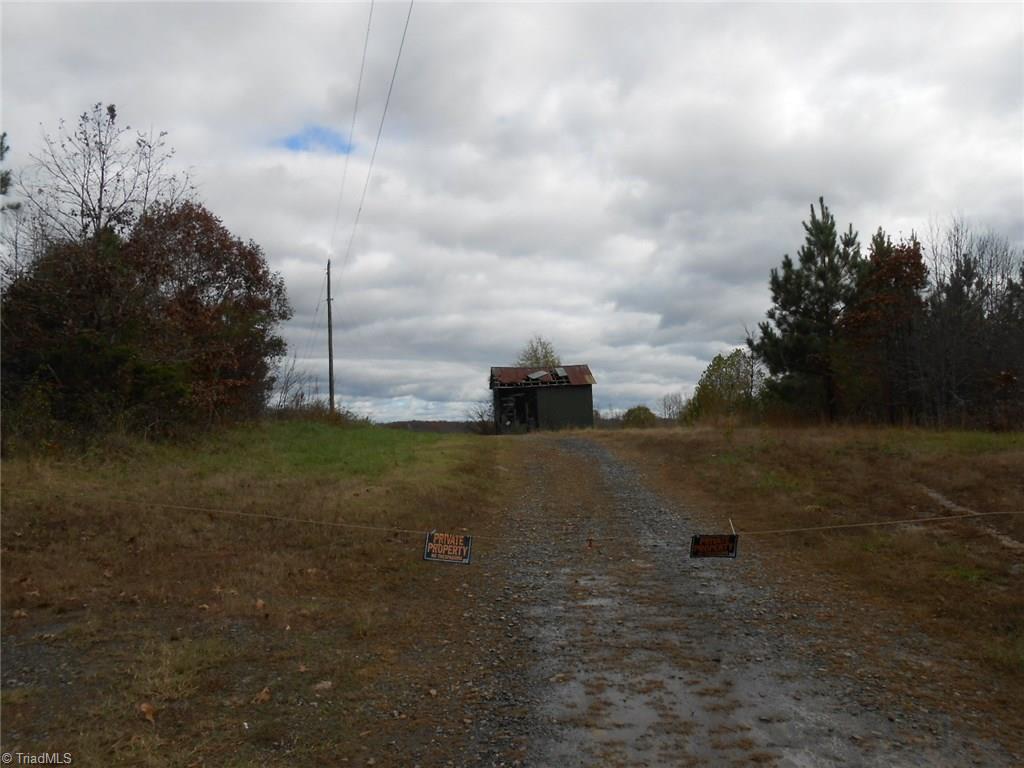Lot A Perkinson Road Ruffin, NC 27326 - Photo 9 of 23