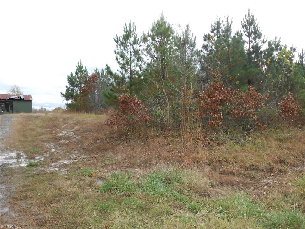 Lot A Perkinson Road Ruffin, NC 27326 - Photo 10 of 23