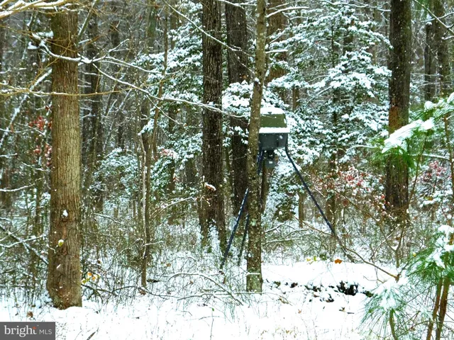 $2,200 | 1971 Church Creek Road, Cambridge, MD 21613