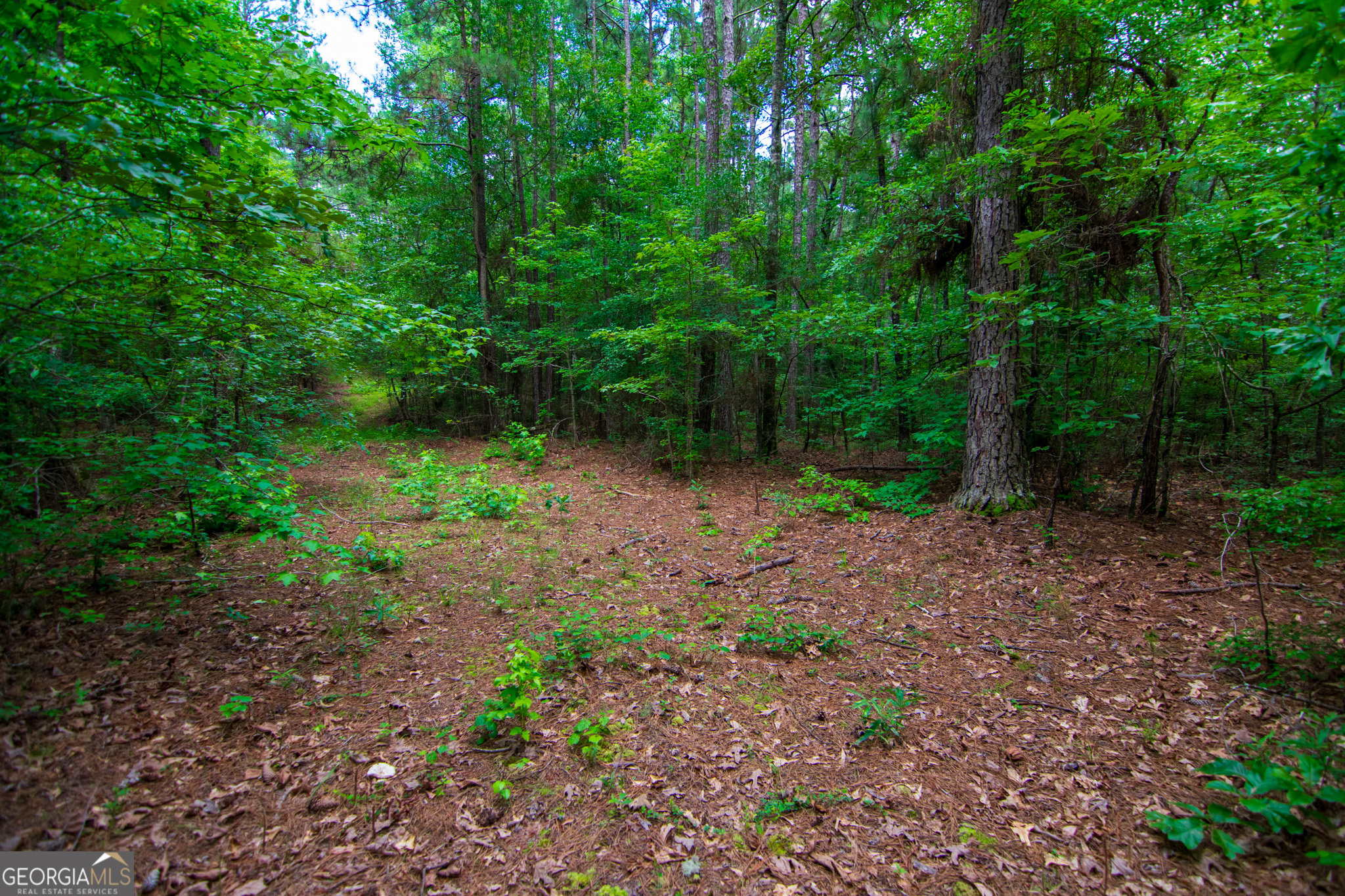 0 White Road Pine Mountain, GA 31822 - Photo 13 of 22