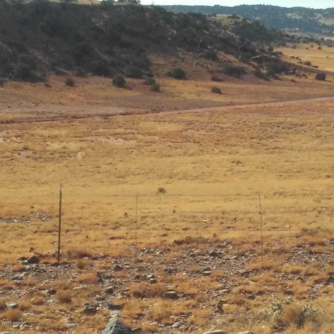 Lot 477 Woodridge Ranch Concho, AZ 85924 - Photo 3 of 4