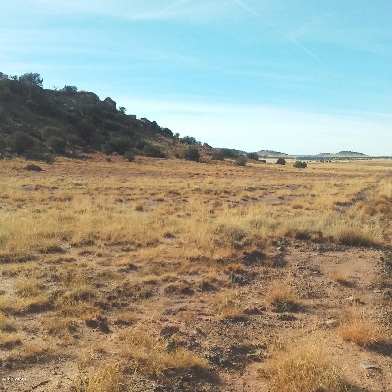 Lot 477 Woodridge Ranch Concho, AZ 85924 - Photo 4 of 4