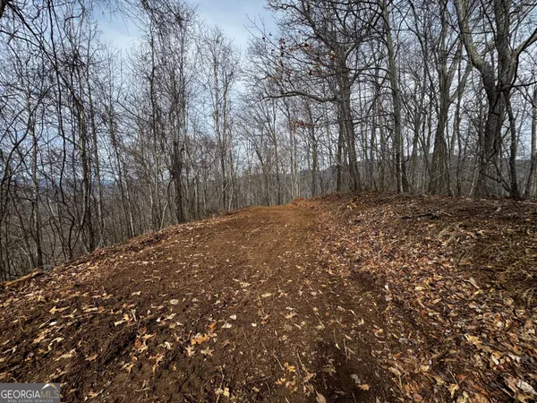 $250,000 | 20-acres Burnt Leaf Lane, Hayesville, NC 28904