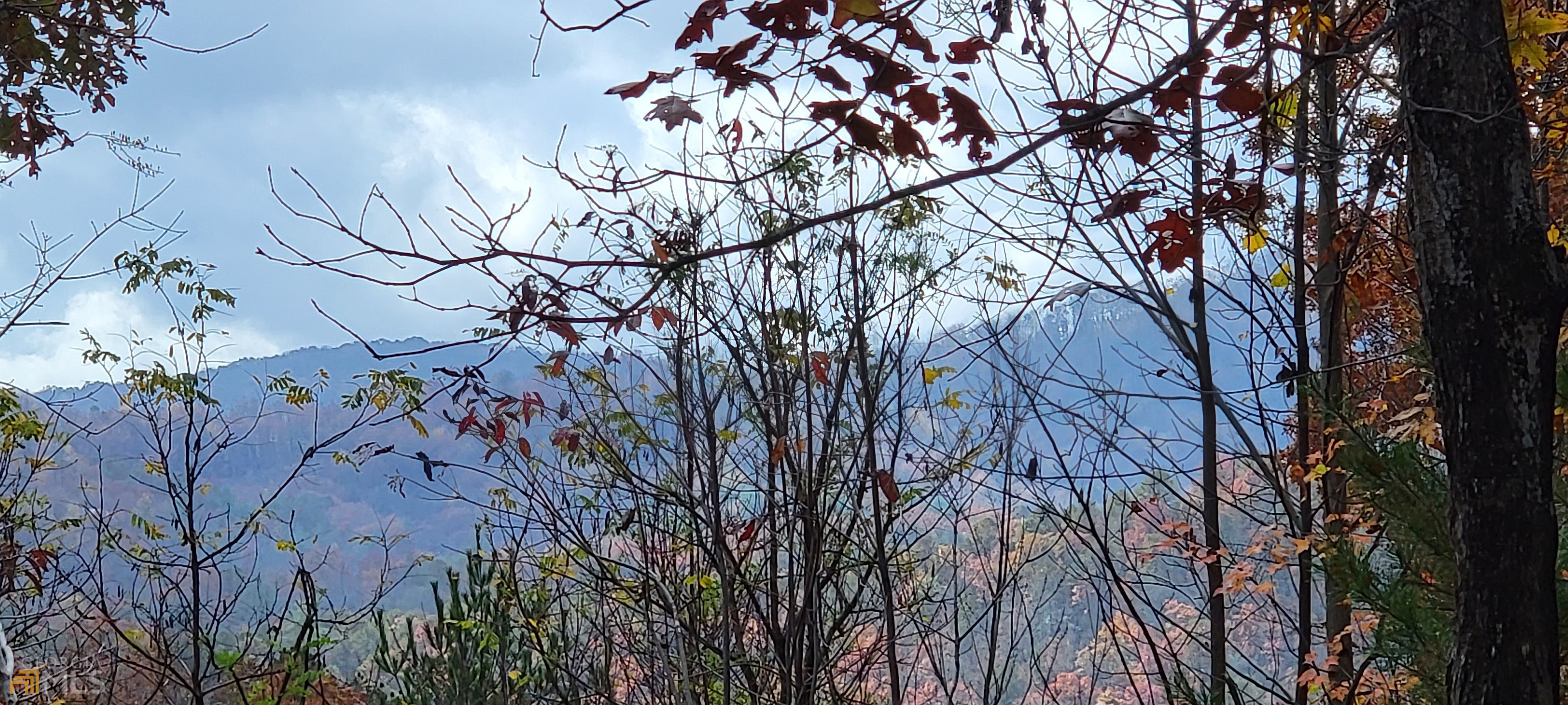 0 Pine Top Lane Unit Lot HH/20  