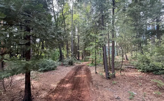 $10,000 | 6261 Merry Way, Clipper Mills, CA 95930