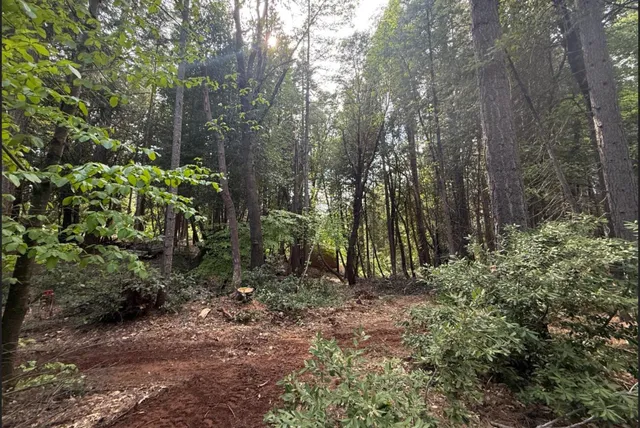 a view of backyard with green space