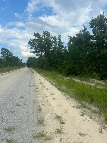 $24,000 | 1 D Brunson Teal Road, Unit BFF 1D, Patrick, SC 29584