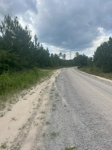 $24,000 | 1 D Brunson Teal Road, Unit BFF 1D, Patrick, SC 29584