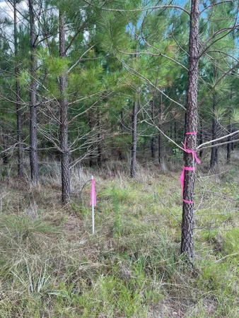 $24,000 | 1 D Brunson Teal Road, Unit BFF 1D, Patrick, SC 29584