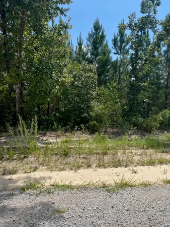 $24,000 | 1 D Brunson Teal Road, Unit BFF 1D, Patrick, SC 29584