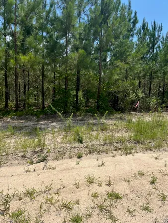 $24,000 | 1 D Brunson Teal Road, Unit BFF 1D, Patrick, SC 29584