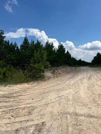 $24,000 | 1 D Brunson Teal Road, Unit BFF 1D, Patrick, SC 29584