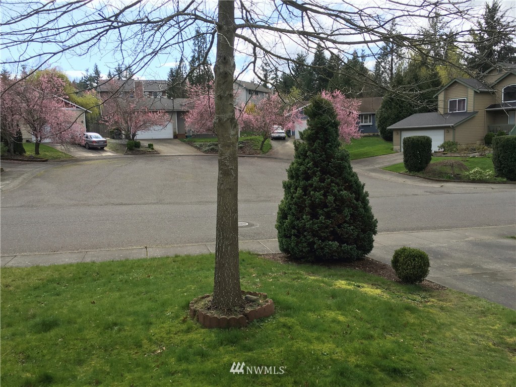 1480 Roma Road Bellingham, WA 98226 - Photo 4 of 25