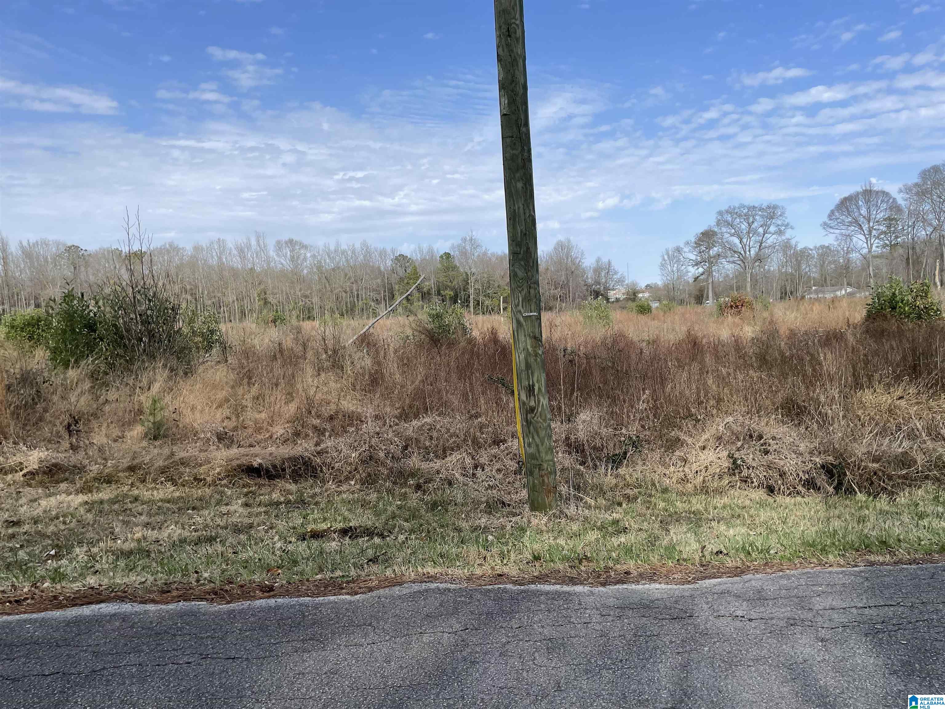 0 Kincheon Road Clanton, AL 35045 - Photo 32 of 45
