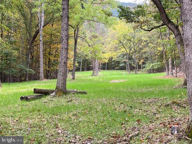 Hopkins Gap Road Fulks Run, VA 22830 - Photo 57 of 75 Gallery Image 57