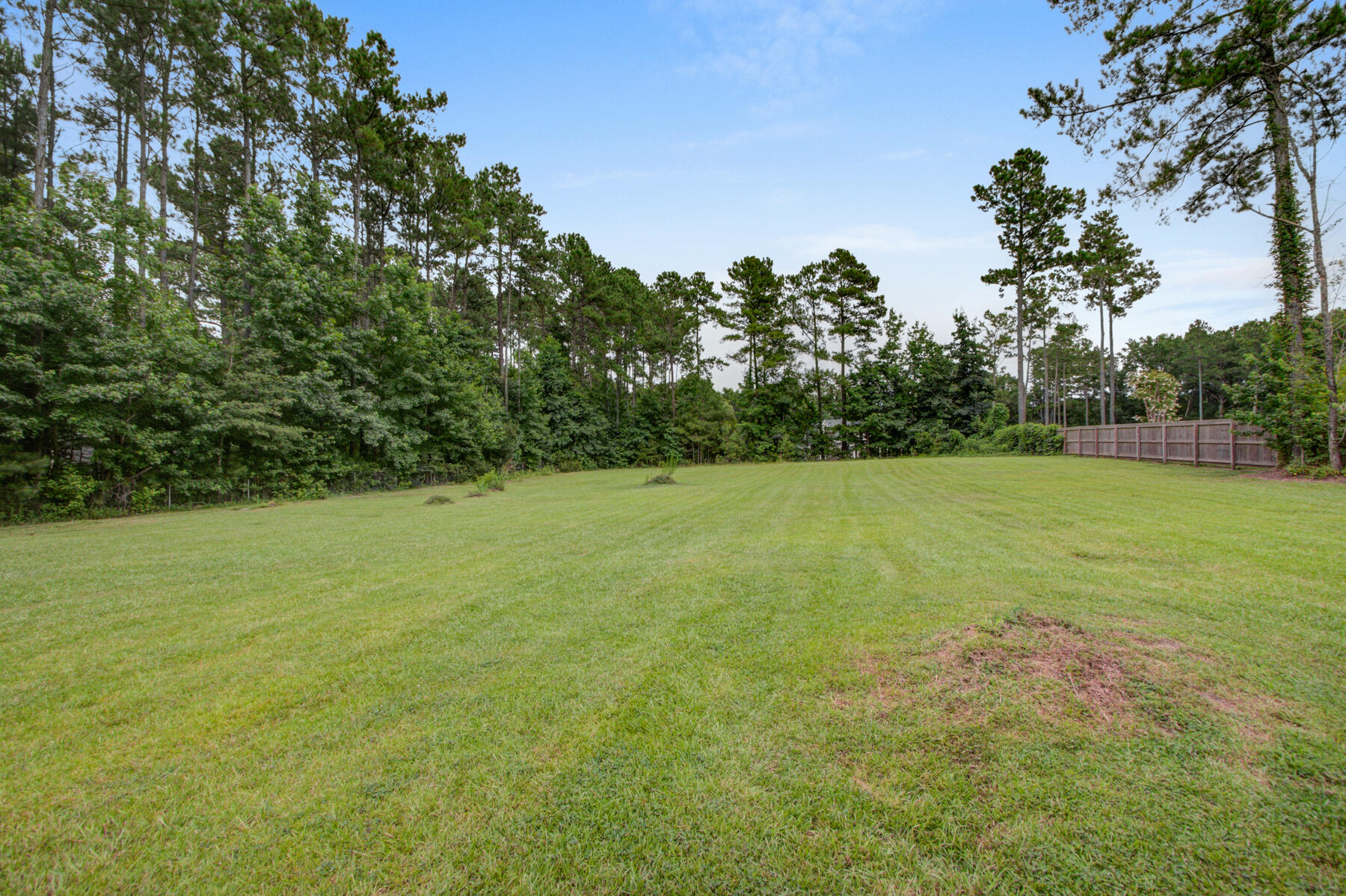 822 Highway 61 Ridgeville, SC 29472 - Photo 21 of 56 822 Hwy 61, Ridgeville SC (46)