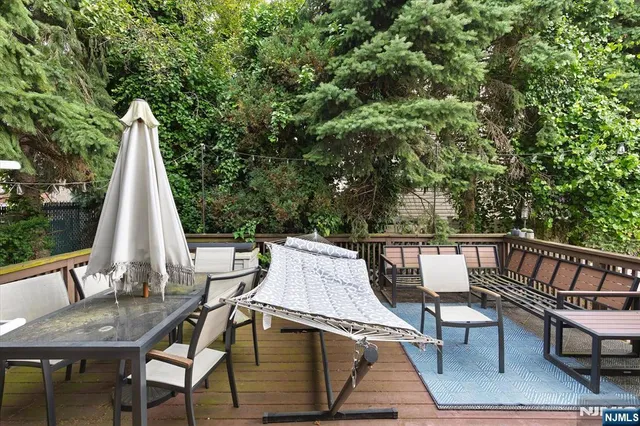 a garden view with plants