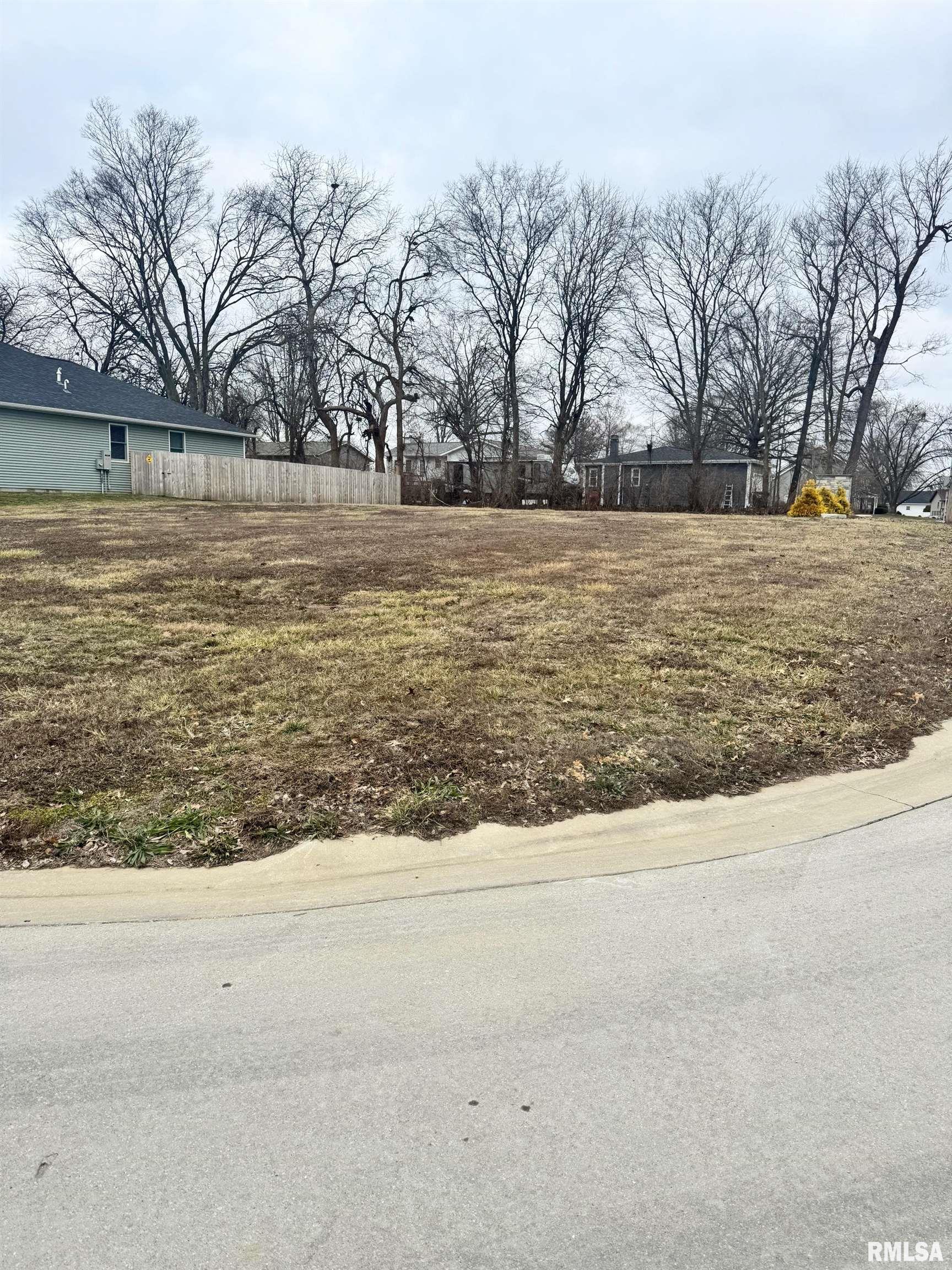 75 Firefly Court Chatham, IL 62629 - Photo 3 of 5