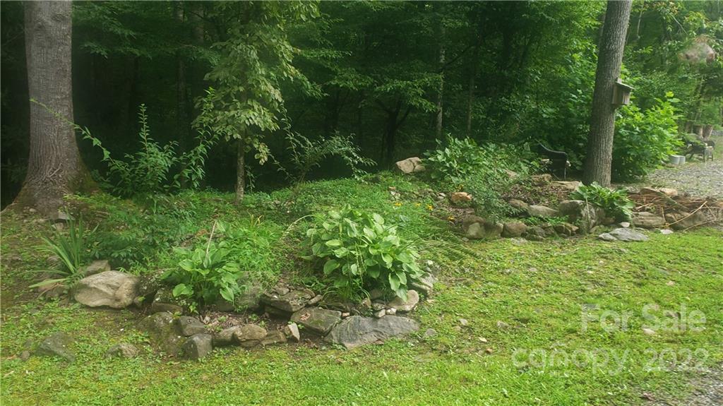 19 Chicory Ridge Sylva, NC 28779 - Photo 22 of 23 Gallery Image 22