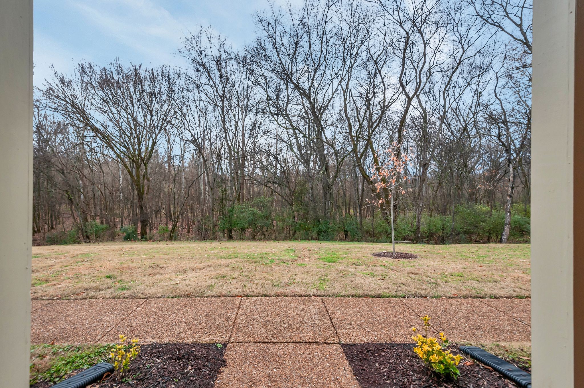 1343 General George Patton Road Nashville, TN 37221 - Photo 5 of 41 a view of a yard with trees in the background