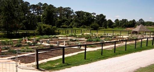 7113 Harmony Square Drive South, Unit 27A St. Cloud, FL 34773 - Photo 21 of 25