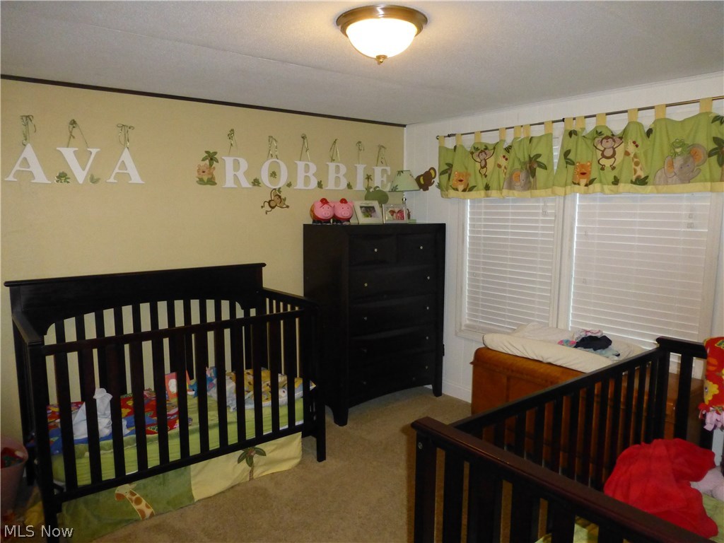10199 Cable Line Road Newton Falls, OH 44444 - Photo 17 of 21 Gallery Image 17