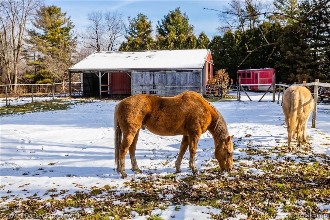 4777 Six Mile Road South Lyon, MI 48178 - Photo 58 of 71 Barn features a run in area for your horses and a lean-to area for your toys