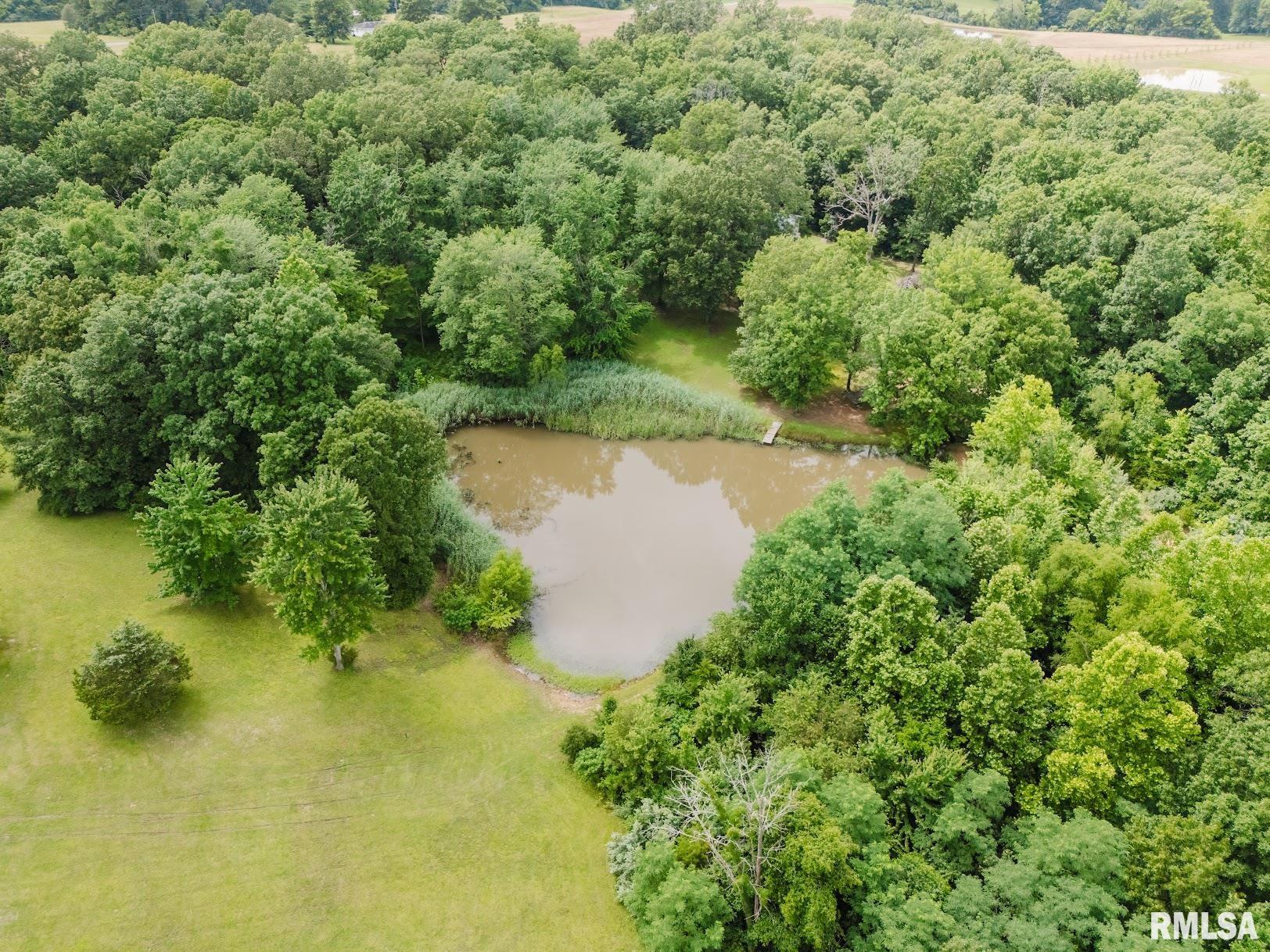 880 Highway 166 Creal Springs, IL 62922 - Photo 33 of 49