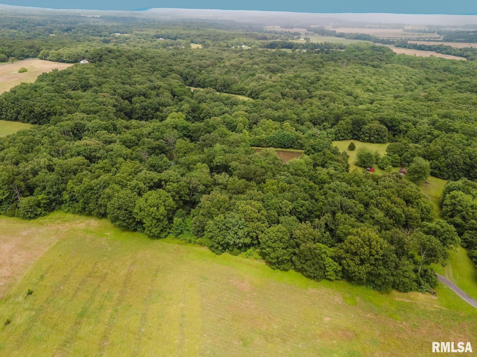 880 Highway 166 Creal Springs, IL 62922 - Photo 34 of 49