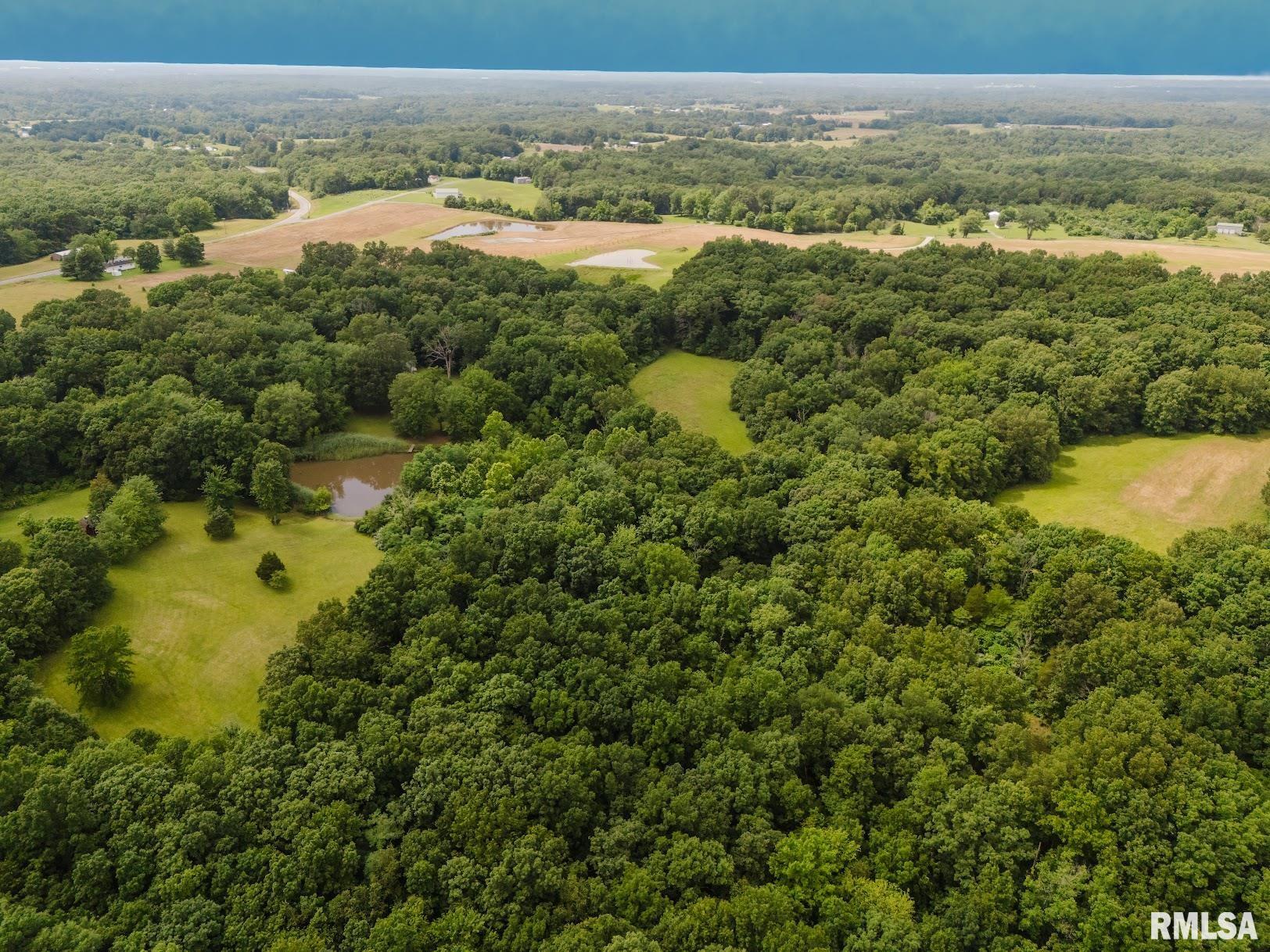 880 Highway 166 Creal Springs, IL 62922 - Photo 39 of 49