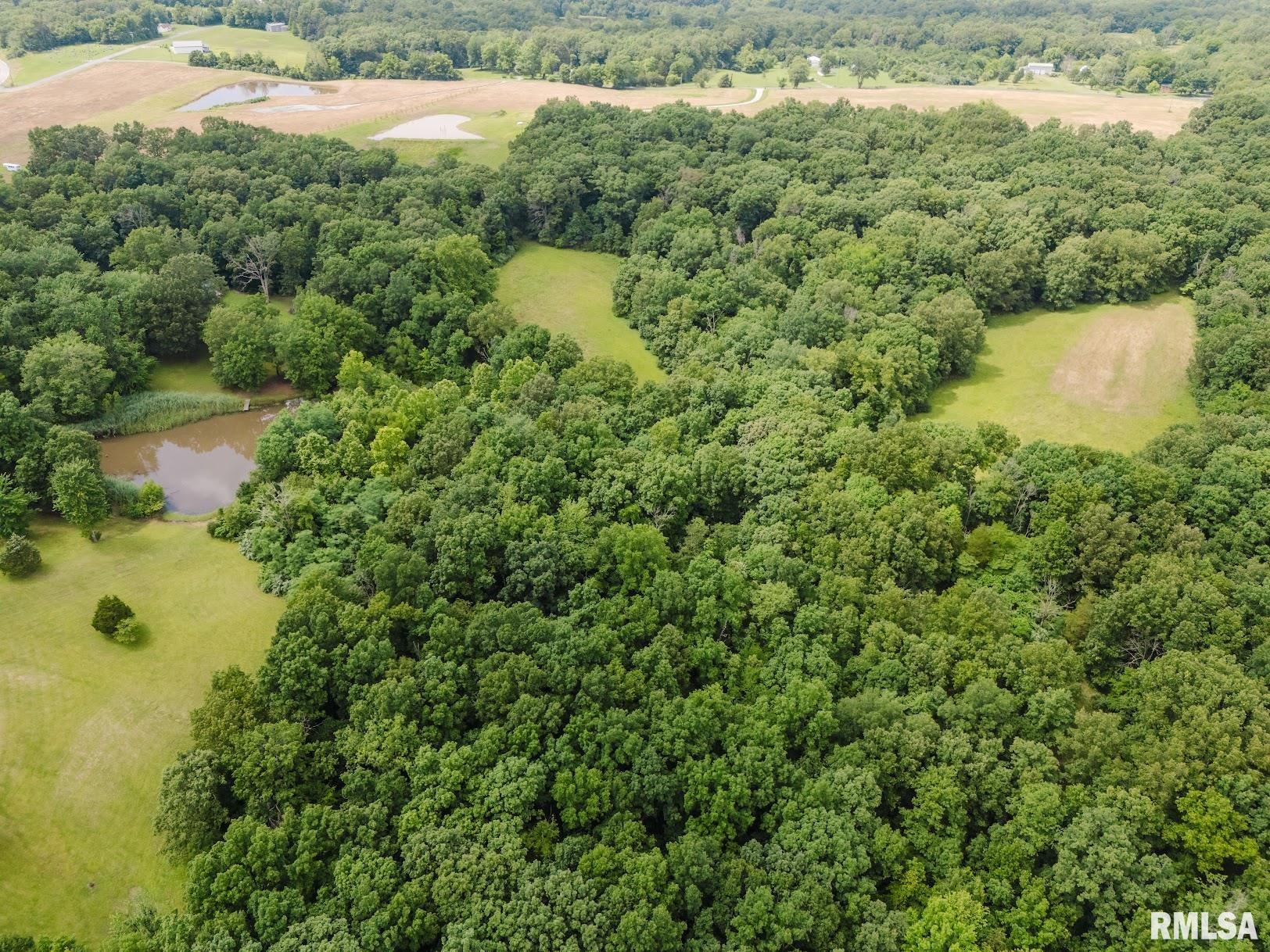 880 Highway 166 Creal Springs, IL 62922 - Photo 40 of 49