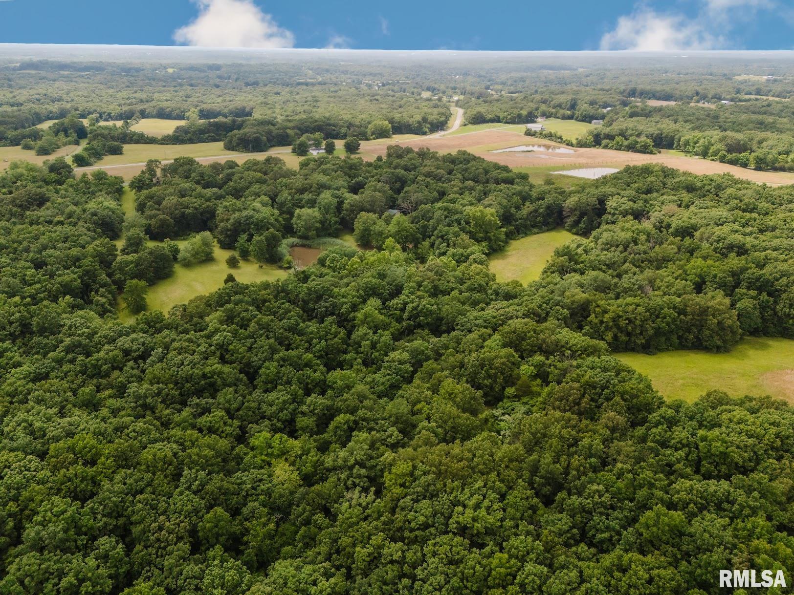 880 Highway 166 Creal Springs, IL 62922 - Photo 41 of 49