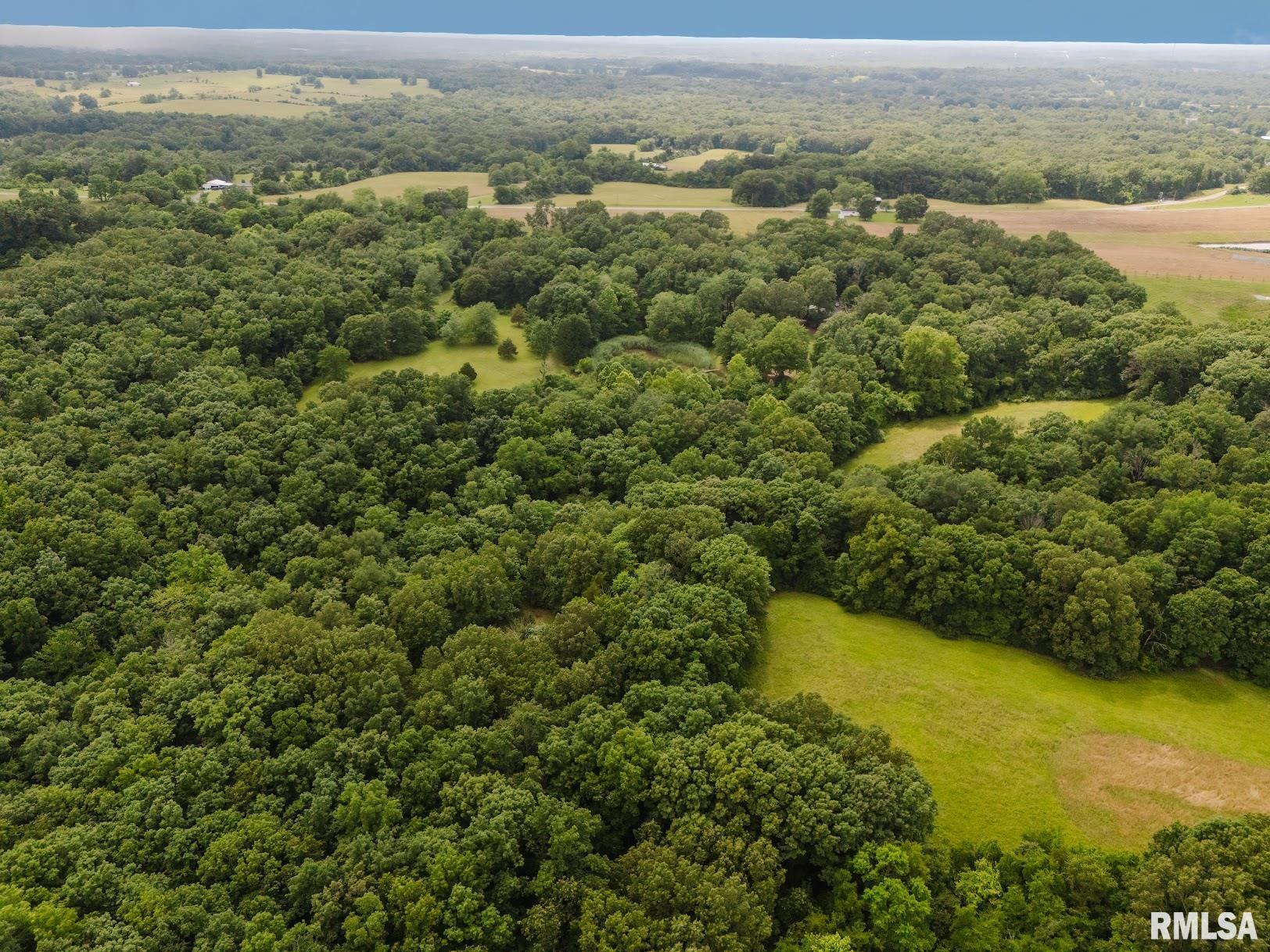 880 Highway 166 Creal Springs, IL 62922 - Photo 43 of 49