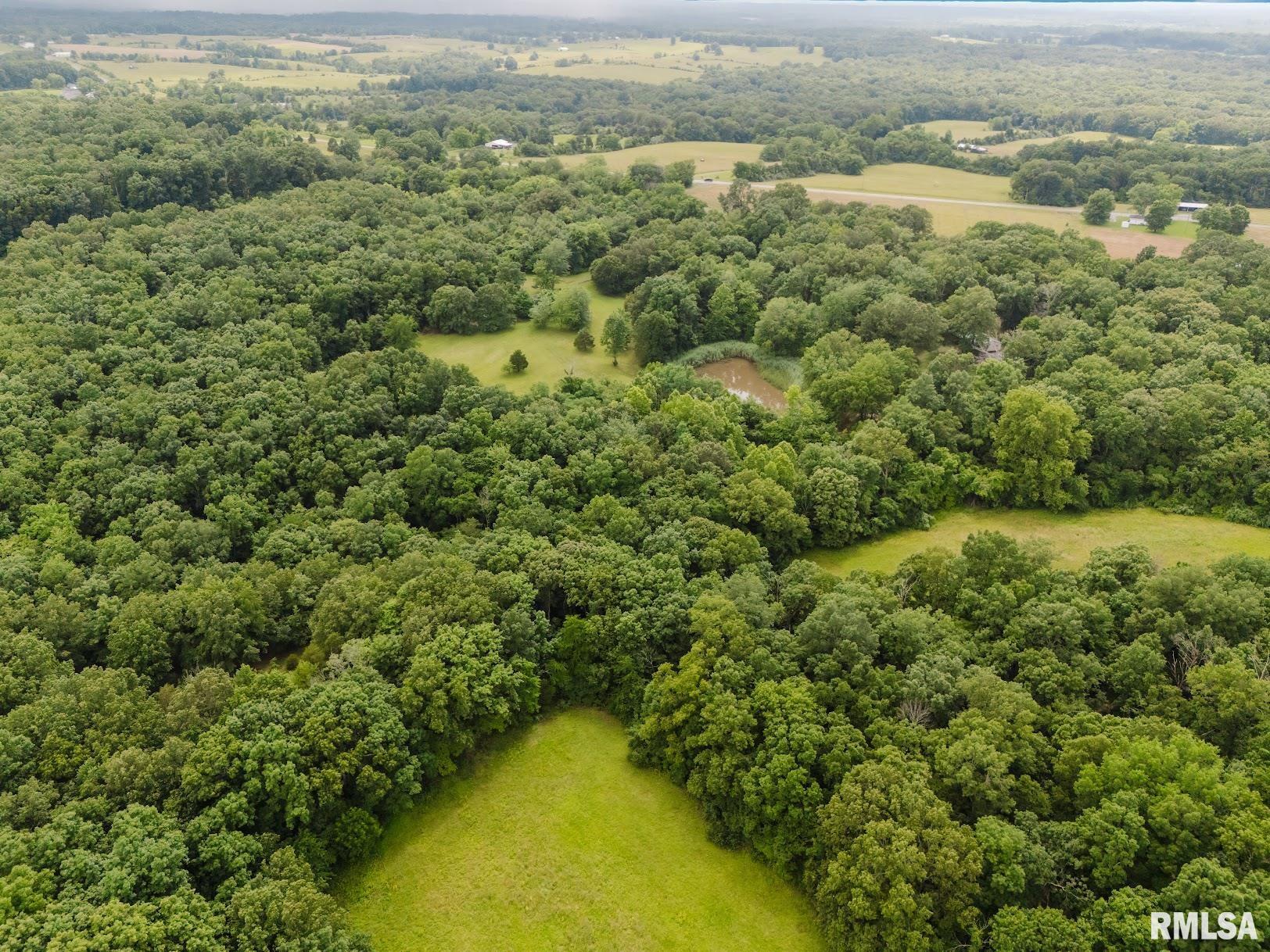 880 Highway 166 Creal Springs, IL 62922 - Photo 44 of 49