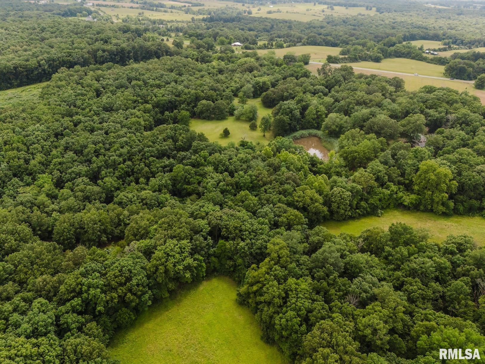 880 Highway 166 Creal Springs, IL 62922 - Photo 45 of 49