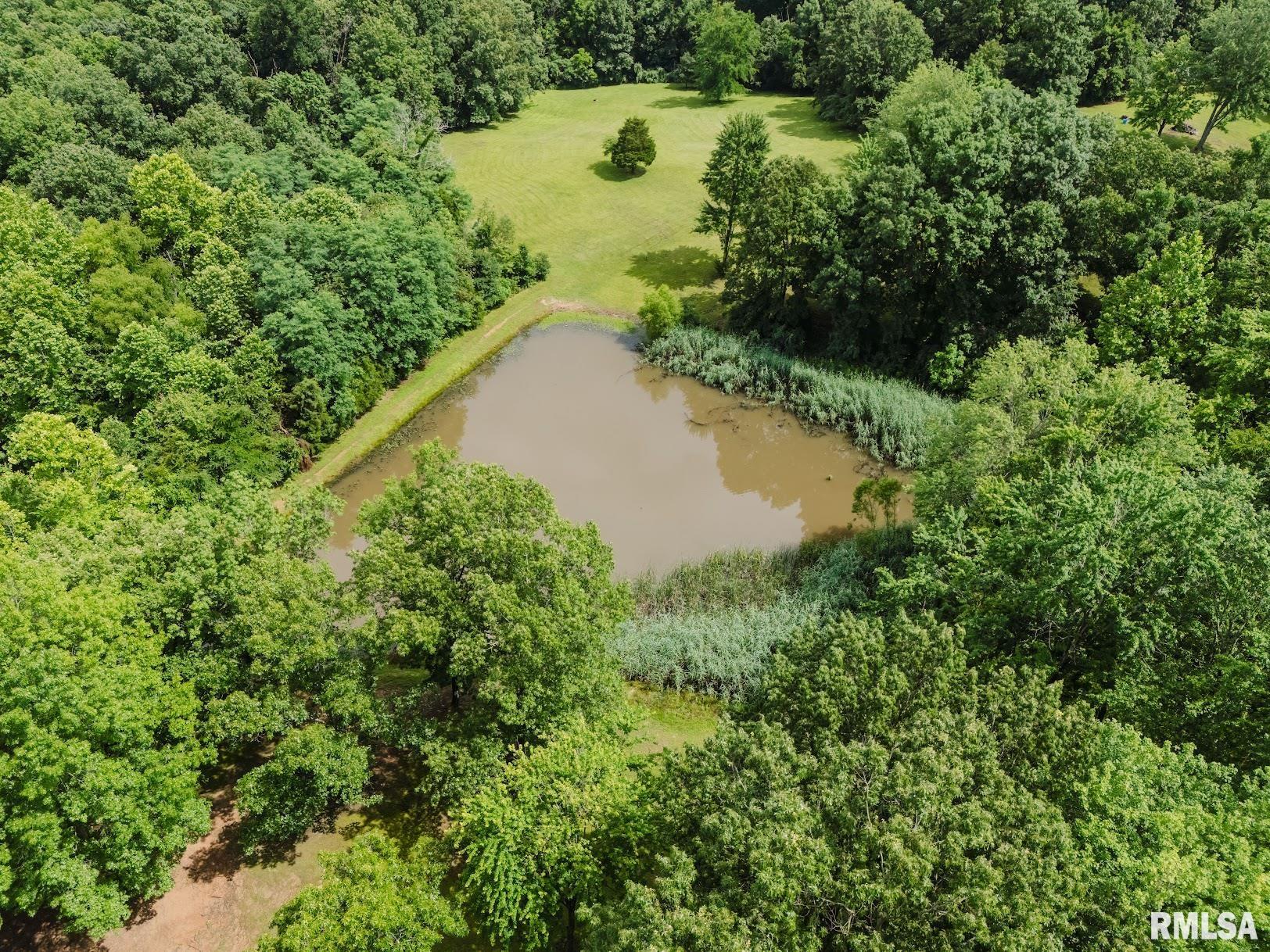 880 Highway 166 Creal Springs, IL 62922 - Photo 48 of 49