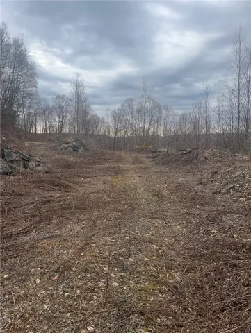 $69,000 | Houck Mountain Road, East Branch, NY 13756