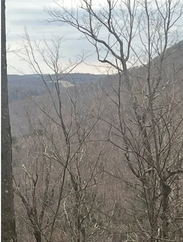 $69,000 | Houck Mountain Road, East Branch, NY 13756